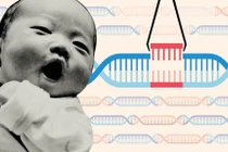 Trẻ biến đổi gen có thể đã sinh ra ở TQ, giới khoa học dậy sóng