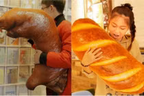 Bộ sưu tập gối ôm “ngon miệng” khiến bạn thỏa mãn cơn đói ngay tức thì