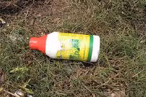 Vợ nhẫn tâm bỏ thuốc chuột vào lòng lợn đầu độc chồng