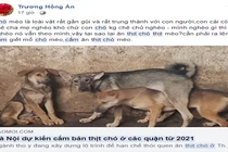 Dân mạng nói gì về đề xuất cấm ăn thịt chó mới được đăng tải?