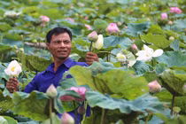 Nghe anh "khùng" kể thu nhập "khủng" từ đầm sen lạ