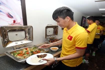 ĐTQG Việt Nam được phát bao nhiêu tiền tiêu vặt tại AFF Cup 2016?