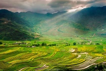 Chùm ảnh: Ngày hè tuyệt đẹp trên miền sơn cước Mù Cang Chải