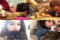 Ảnh mỹ nữ bên mèo cưng làm mềm lòng dân mạng