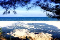 Tận hưởng biển xanh, cát trắng ngày hè trên đảo Quan Lạn