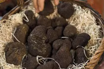 Cả Trung Quốc chê ỏng eo nhưng thứ này lại có giá ngàn đô ở Mỹ