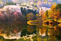 Mùa thu Hàn Quốc đẹp huyền ảo làm say lòng dân phượt