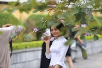 Say đắm giữa "cơn mưa" hoa ban tím bung nở khắp góc trời Hà Nội