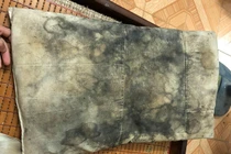 "Phát tởm" chiếc gối mốc meo, đen sì 2 năm không giặt của bạn cùng phòng