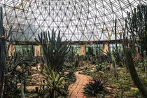 Nhà xương rồng Ba Vì, địa điểm chụp ảnh hút giới trẻ