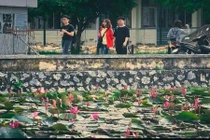 Hồ hoa súng trở thành “cực phẩm” của sinh viên ĐH Bách Khoa 