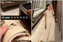 Trâm Anh khóc ròng khi chó cưng cắn tan nát đôi dẹp hàng hiệu