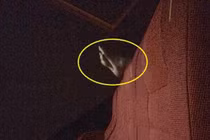 Thiếu nữ bị ném đá tơi bời vì hành động phản cảm trong rạp phim