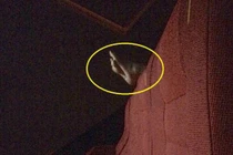 Thiếu nữ bị ném đá tơi bời vì hành động phản cảm trong rạp phim