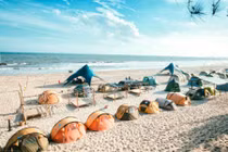 Thiên đường cắm trại biển thu hút giới trẻ Việt