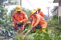 EVN HANOI với công tác đảm bảo an toàn điện mùa bão