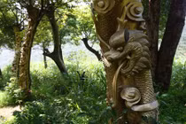 Độc đáo thân cây sống như rồng bay phượng múa thực