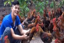 Chàng trai dân tộc Dao thu tiền tỷ mỗi năm nhờ nuôi gà 