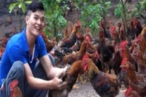 Chàng trai dân tộc Dao thu tiền tỷ mỗi năm nhờ nuôi gà 