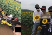 Nhóm “nam thanh, nữ tú” bẻ hoa hướng dương khiến dân mạng phẫn nộ