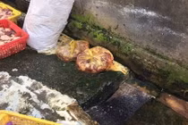 Phát hiện hàng trăm kg thịt gà tẩm hàn the