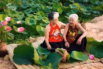 Bộ ảnh du lịch Đà Lạt của “đôi bạn già” u80 gây sốt CĐM