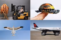 Loạt ảnh cắt ghép sáng tạo “không thể tin nổi” gây sốt