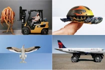 Loạt ảnh cắt ghép sáng tạo “không thể tin nổi” gây sốt