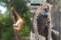 Những bức ảnh của Thảo Cầm Viên khiến người xem ngã ngửa