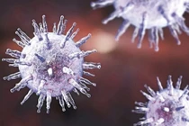 Những căn bệnh quái ác bắt nguồn từ 'nụ hôn' 