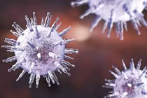 Những căn bệnh quái ác bắt nguồn từ 'nụ hôn' 