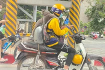 Ra đường kiếm tiền cùng "sen", chú mèo khiến cả đường phải chú ý