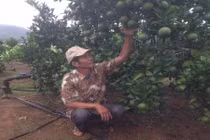 Nể phục: “Đi tù vì cây cà phê”, ra tù thành tỷ phú nhờ cam lòng vàng