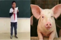 Chết cười bài văn mơ biến thành lợn của học sinh lớp 6