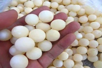 Trứng ba ba "thần dược": Vợ chồng tẩm bổ mỗi bữa 50 quả