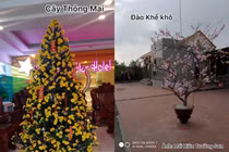 “Cười chảy nước mắt” với loạt cây chơi Tết không thể “giả trân” hơn