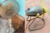 Dân mạng thi nhau khoe đồ cổ từ thời ông bà, bố mẹ