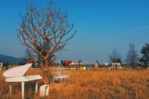 Giới trẻ mê mẩn trước “khung cảnh trời Tây” giữa Đà Nẵng