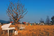 Giới trẻ mê mẩn trước “khung cảnh trời Tây” giữa Đà Nẵng