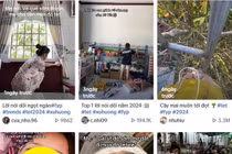 “Về quê sớm, mẹ cho tiền đi mua đồ Tết”, giới trẻ vỡ mộng