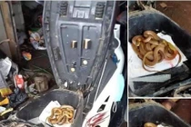 Mở cốp của khách, anh thợ sửa xe hết hồn khi gặp "bé na"