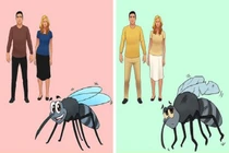 5 sự thật bất ngờ về vũ trụ và con người, số 2 gây sốc nhất