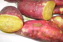 Dỡ 4ha khoai lang quý hiếm, lãi ròng hơn 300 triệu đồng