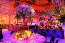 Xa hoa đám cưới 480 tỉ của con trai triệu phú Ấn Độ