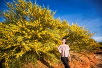 Lạc vào mùa lá vàng Phan Thiết đẹp mê hồn chẳng kém Hàn Quốc