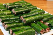 Tác dụng chữa bệnh của lá lốt