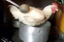 Những tai nạn khó đỡ về việc giới trẻ phải vào bếp ngày Tết