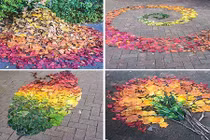 Giới trẻ Nhật Bản biến đám lá rơi thành thứ không tưởng