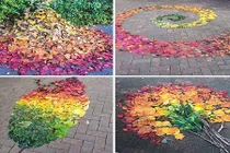 Giới trẻ Nhật Bản biến đám lá rơi thành thứ không tưởng