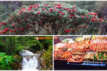 Lên Sapa vào mùa hè khám phá những điều lý thú